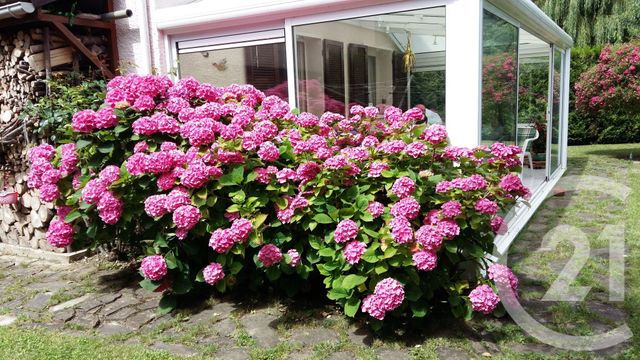 Afficher la photo en grand maison à vendre - 6 pièces - 119.0 m2 - SARCELLES - 95 - ILE-DE-FRANCE - Century 21 Wilson Immobilier